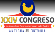 190x110not-logo-congreso