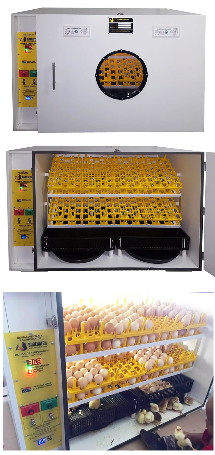 incubadora-de-huevos-surehatch-sh680-indiv-left